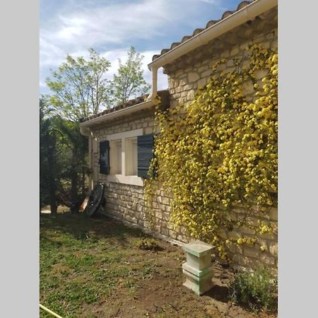 Appartement 2 Pers Avec Acces Piscine Saint-Rémy-de-Provence 외부 사진