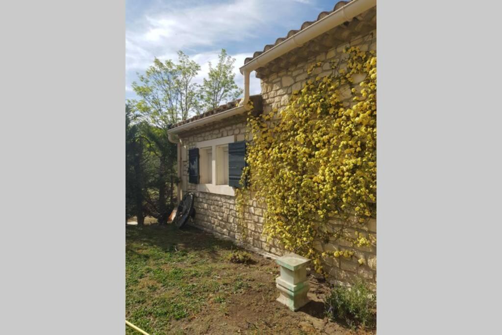 Appartement 2 Pers Avec Acces Piscine Saint-Rémy-de-Provence 외부 사진